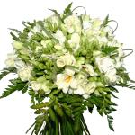 Buchet de 101 frezii albe